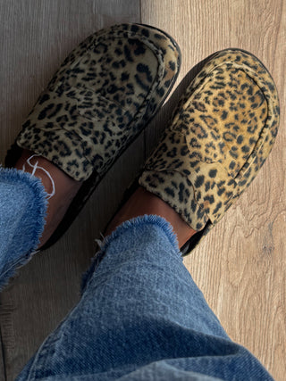 Nolan Slip-On Clogs | Leopard
