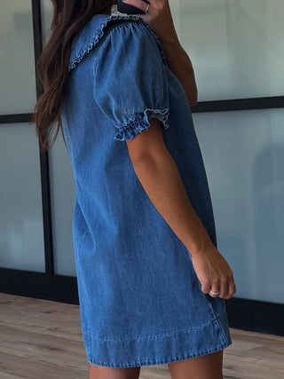 Denim Darling Collared Dress