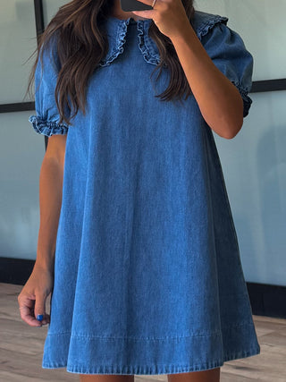 Denim Darling Collared Dress