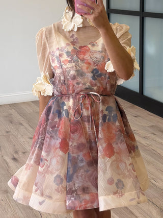 Jardin De Lune Sheer Dress