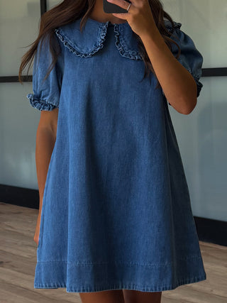 Denim Darling Collared Dress