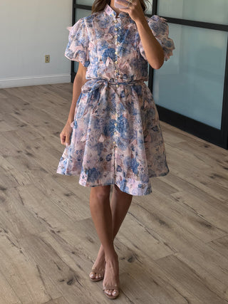 Anneliese Floral Sheer Dress | Sky Blossom