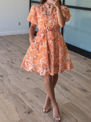 Anneliese Floral Sheer Dress | Apricot