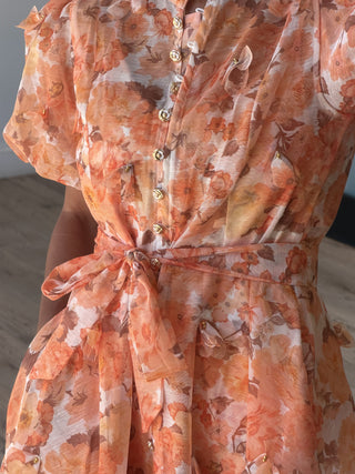 Anneliese Floral Sheer Dress | Apricot
